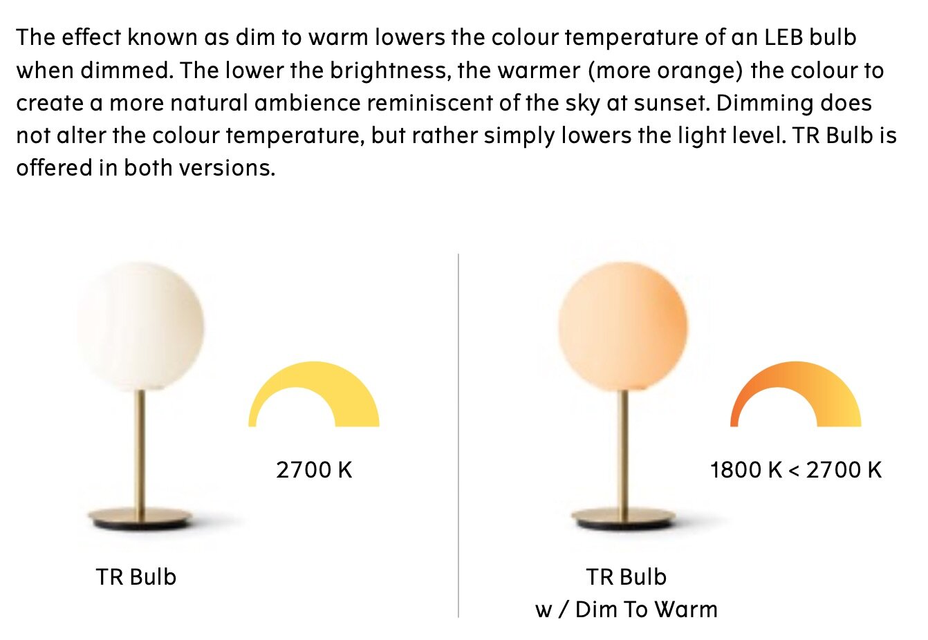 tr bulb table lamp